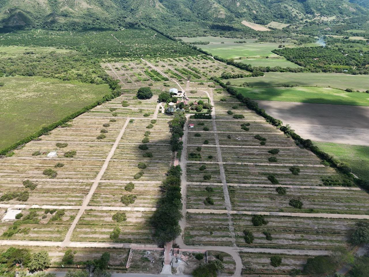Lotes delimitados y vías internas